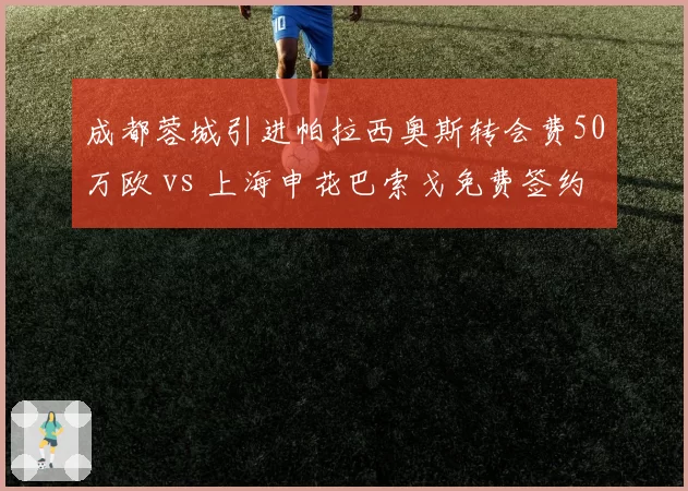 成都蓉城引进帕拉西奥斯转会费50万欧 vs 上海申花巴索戈免费签约,性价比之争